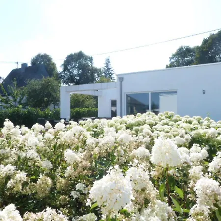 Mosel Ferienhaus