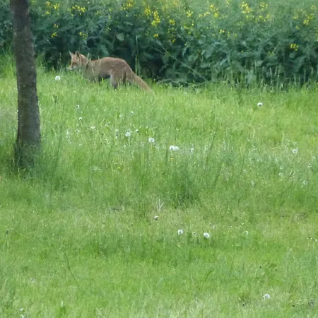 Σπίτι διακοπών Mosel