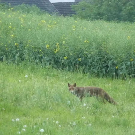 Σπίτι διακοπών Mosel
