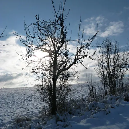 Mosel Σπίτι διακοπών *